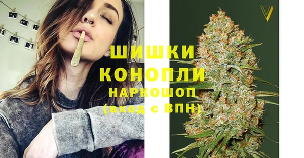 соль ск Богородицк