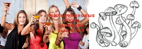 соль ск Богородицк