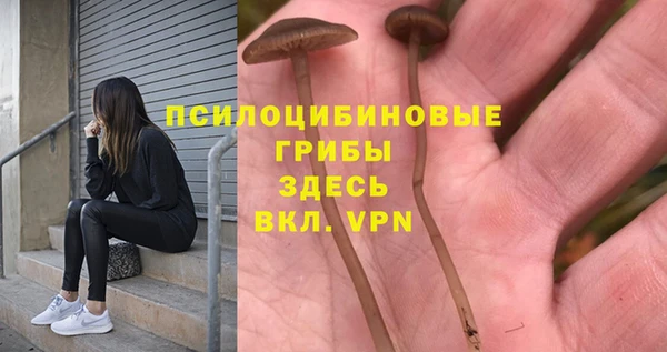 тгк Бородино