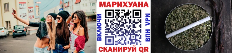 Купить где  Коряжма  Канабис сатива 